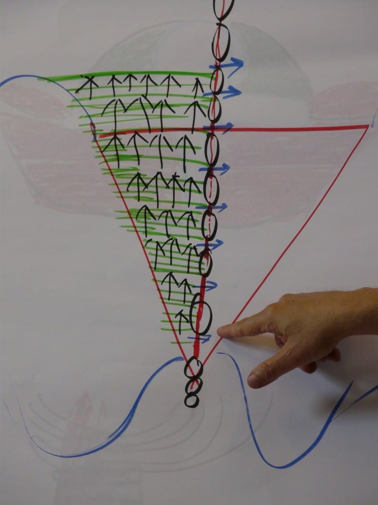 Sacro-Lumbar-Iliac Region