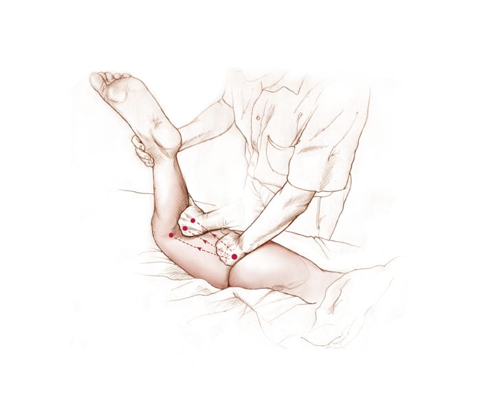 7. Hamstring 3