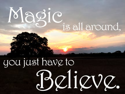 Magic3