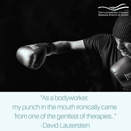 craniosacral therapy knockout